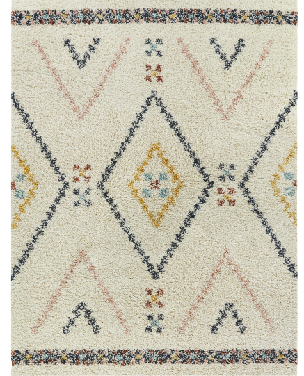 Shag Area Rug 5'x7'