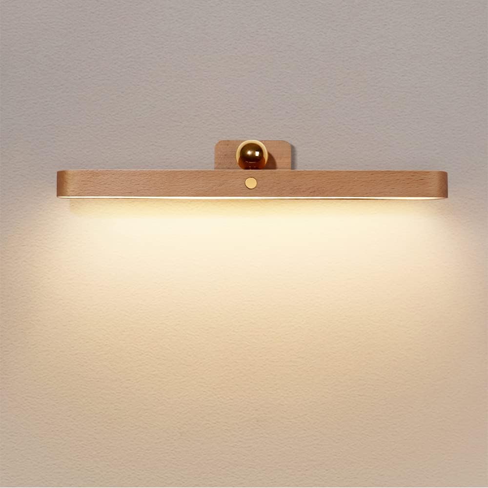 Rechargeable LED Light