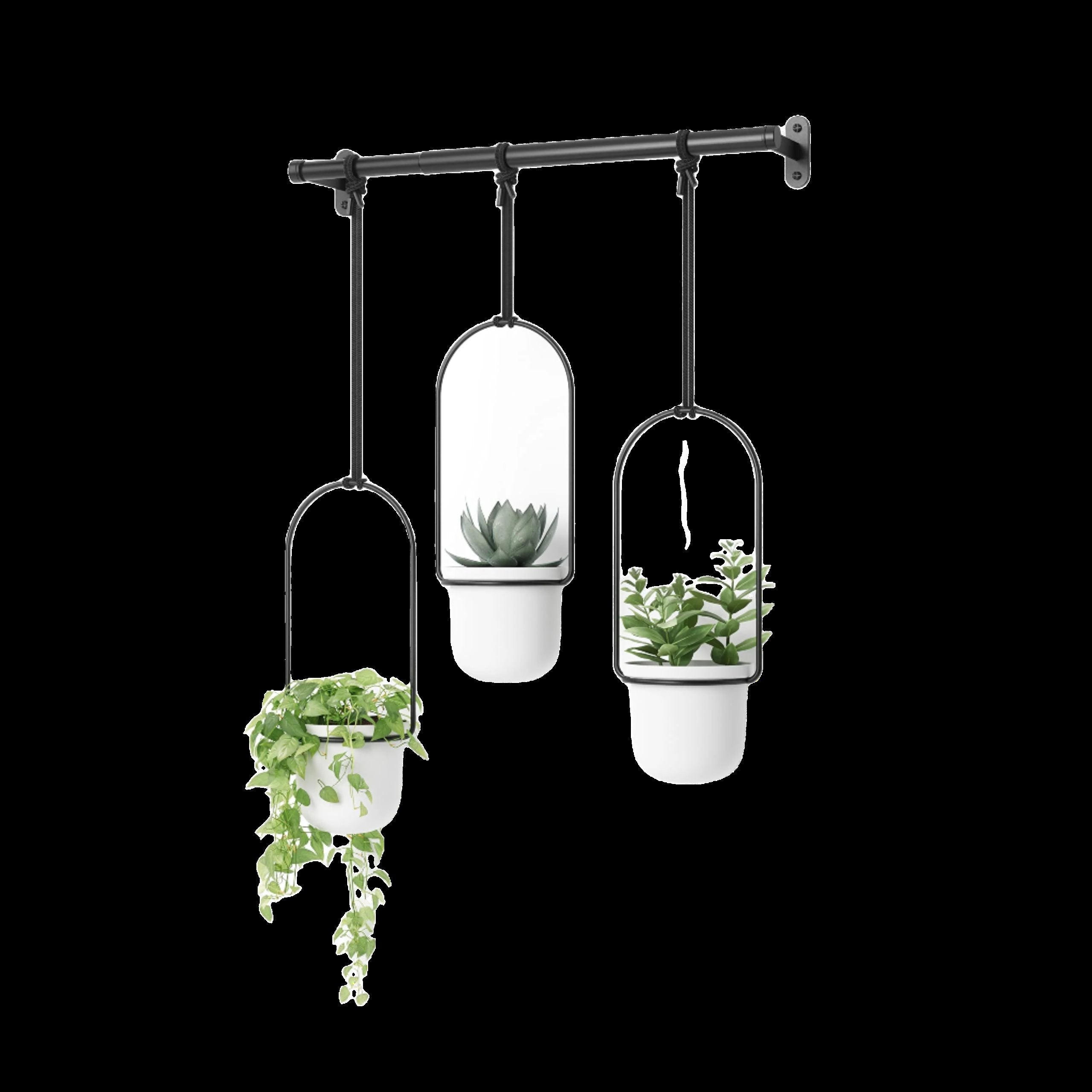 Hanging Planter