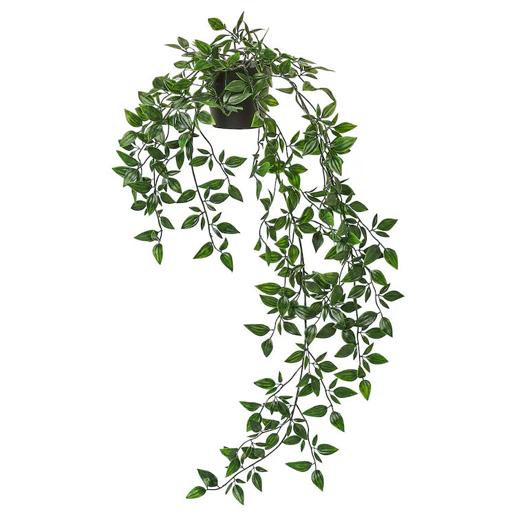 Hanging Potted Plant