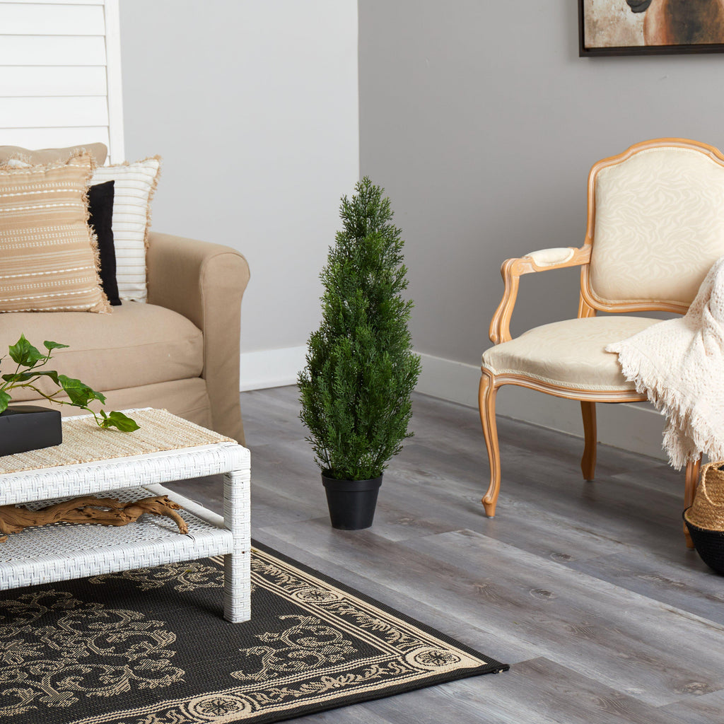 Mini Cedar Pine Tree
