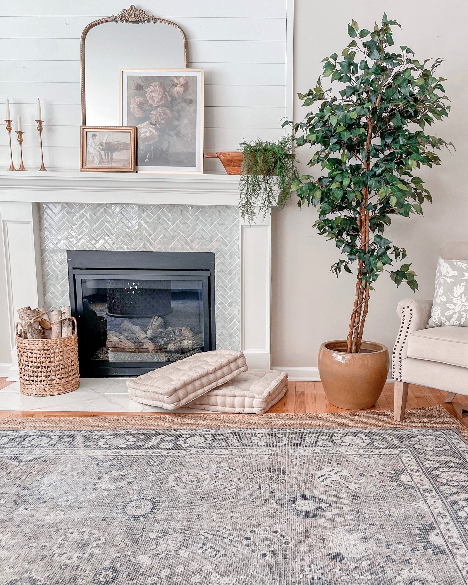 72" Ficus Silk Tree