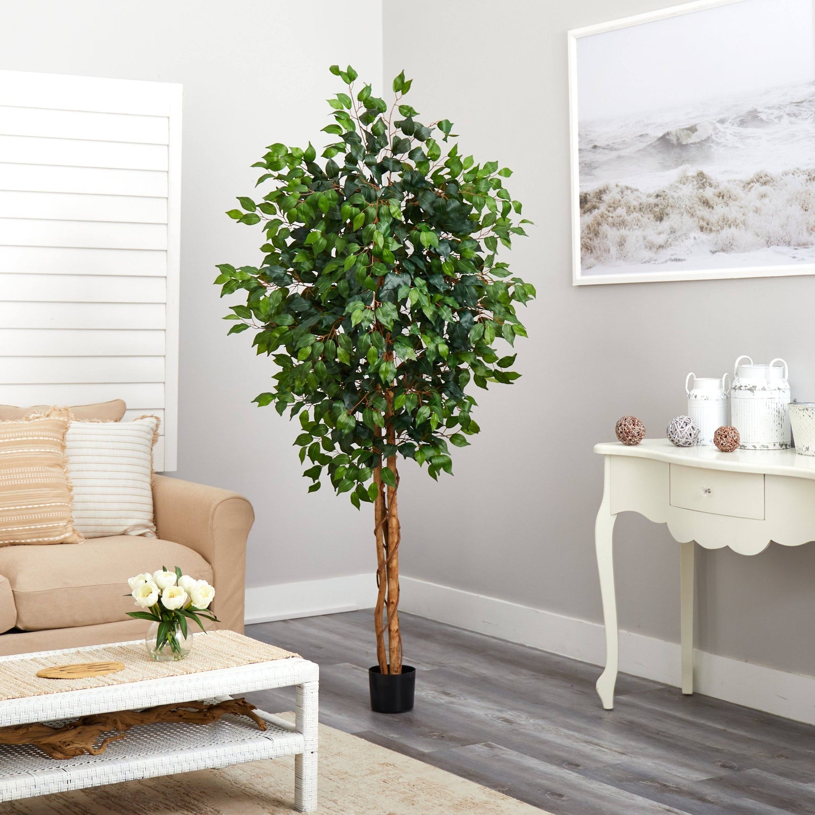 72" Ficus Silk Tree