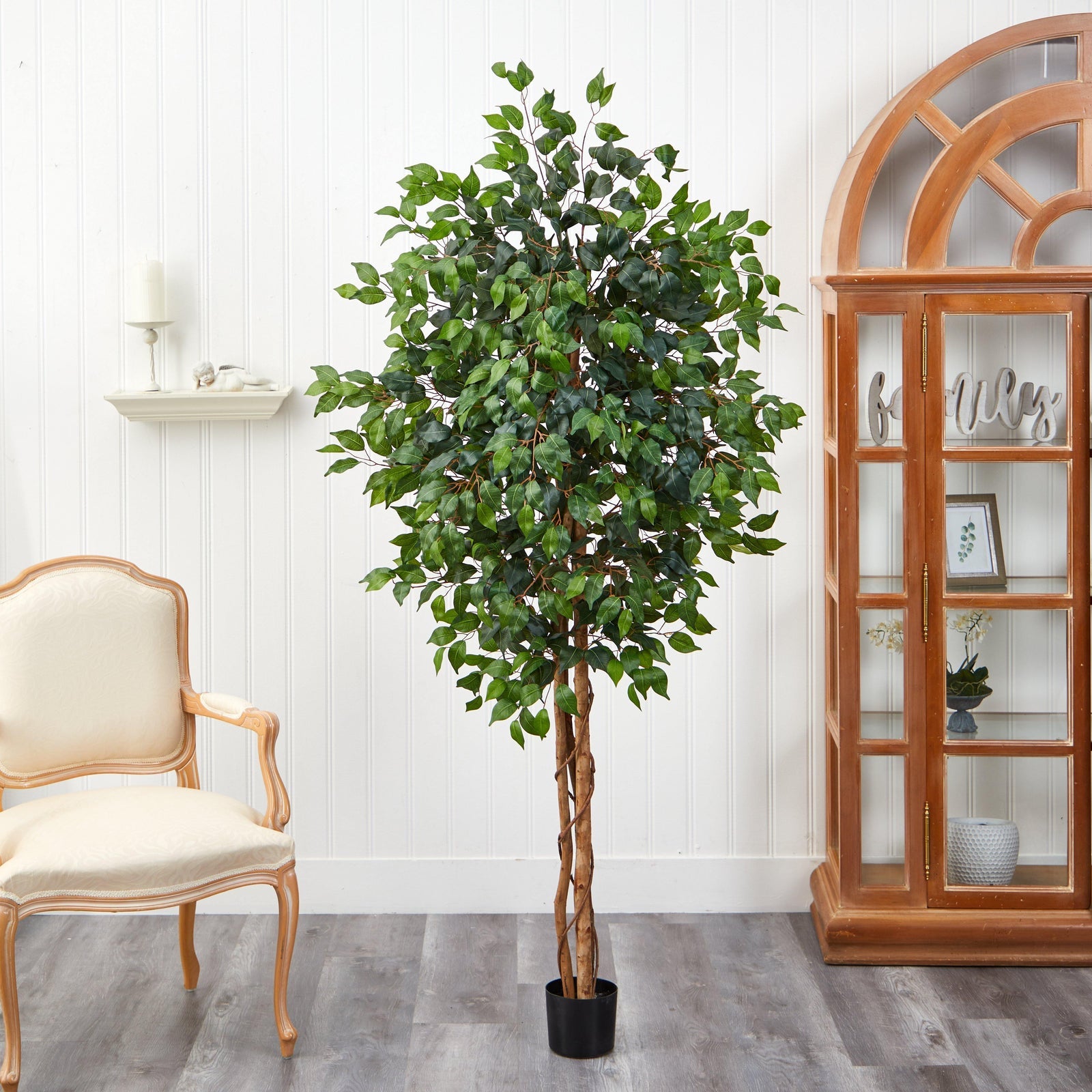 72" Ficus Silk Tree