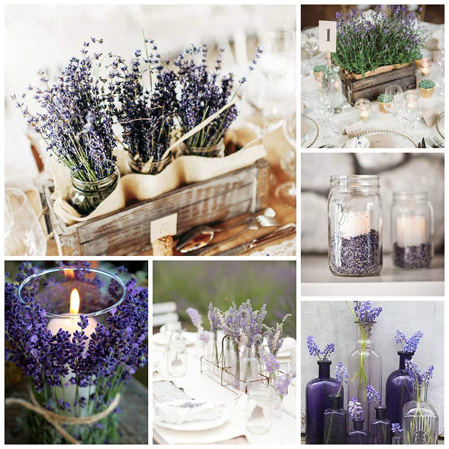 Dried Lavender Flowers - One Bunch