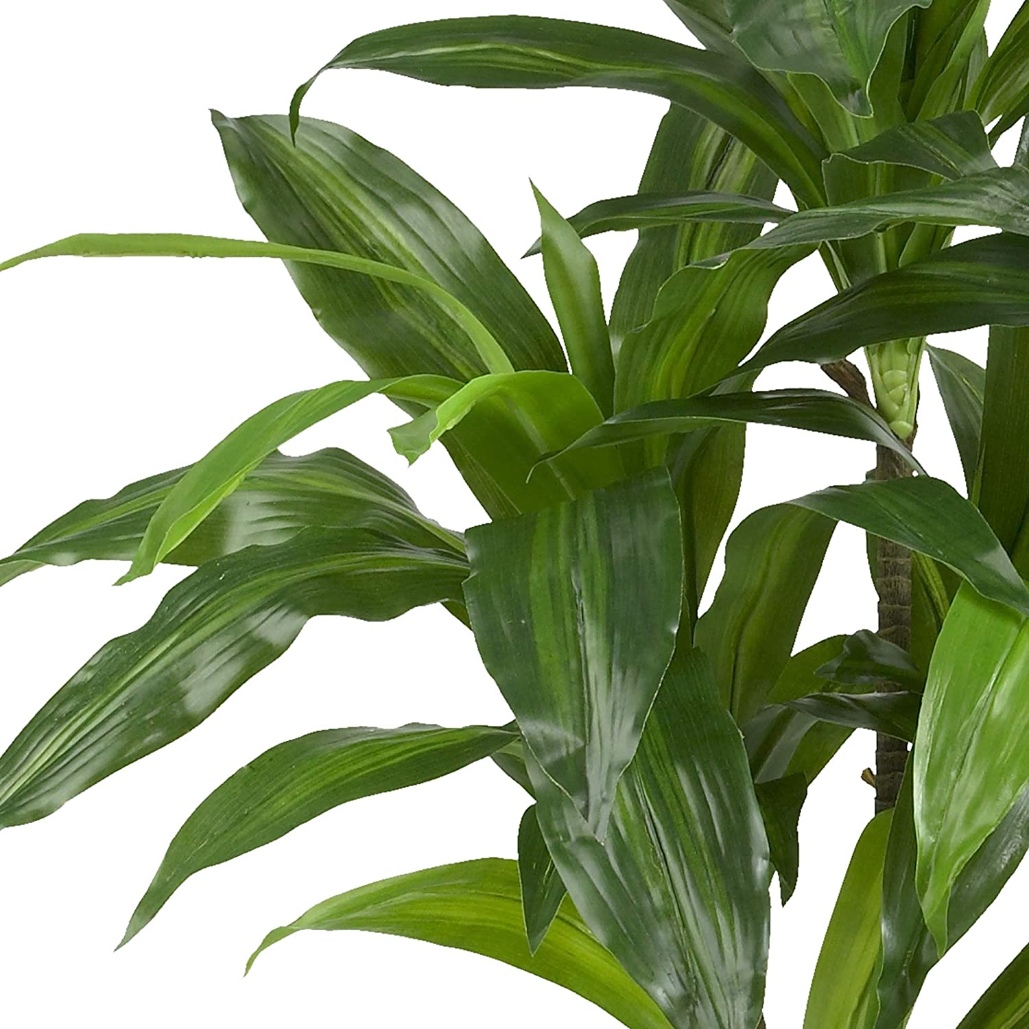 Nearly Natural Silk Dracaena