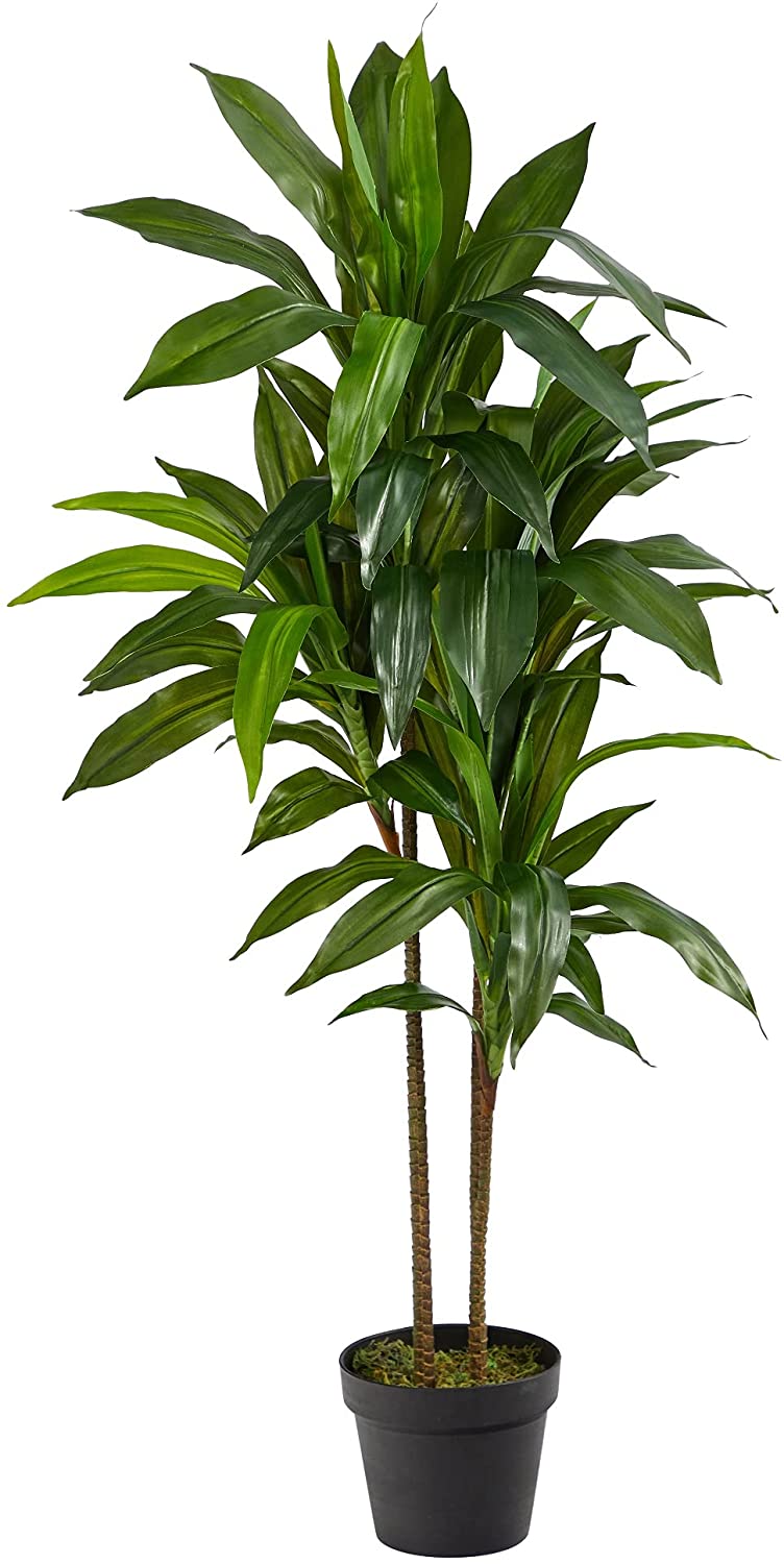 Nearly Natural Silk Dracaena