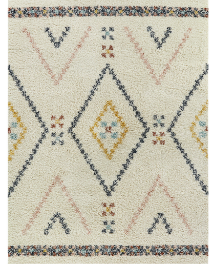 Shag Area Rug 5'x7'