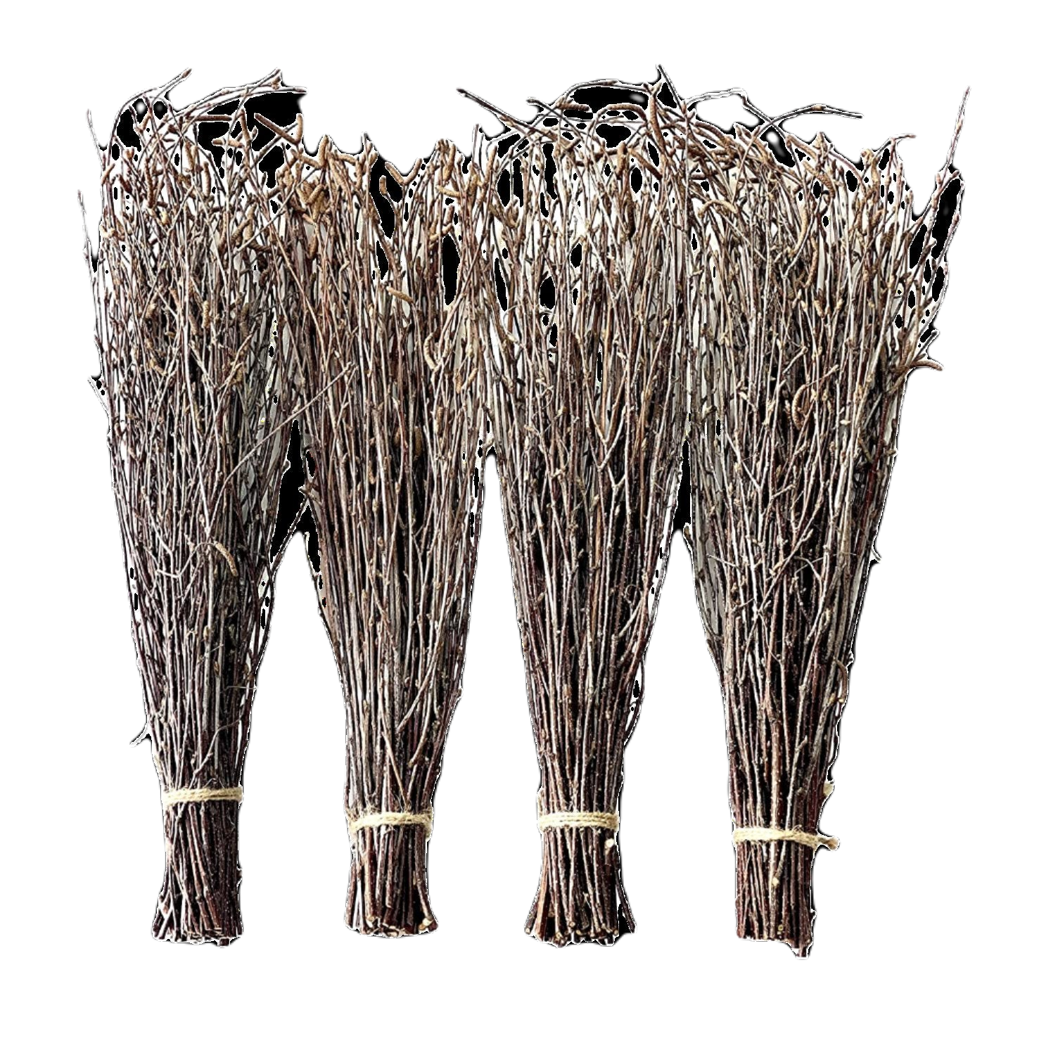 Birch Twigs - 100% Natural Birch Branches for Vases