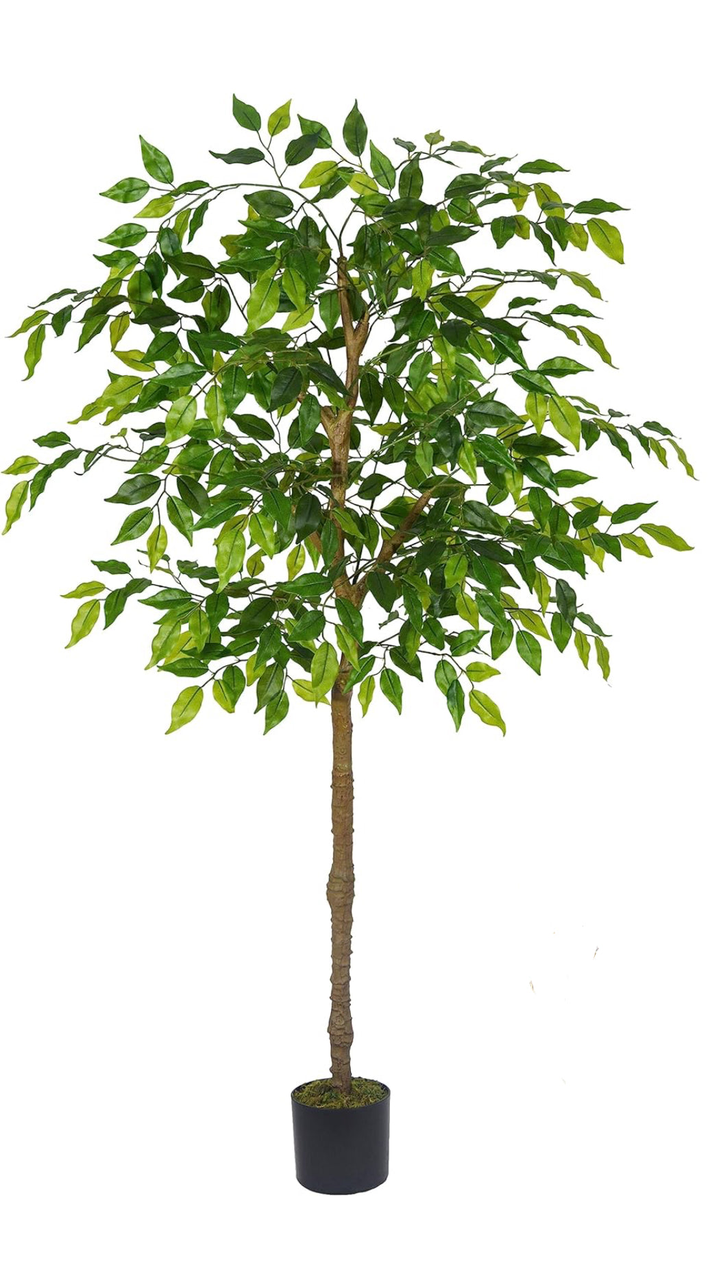 Faux Ficus Tree