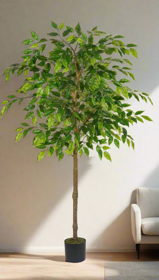 Faux Ficus Tree