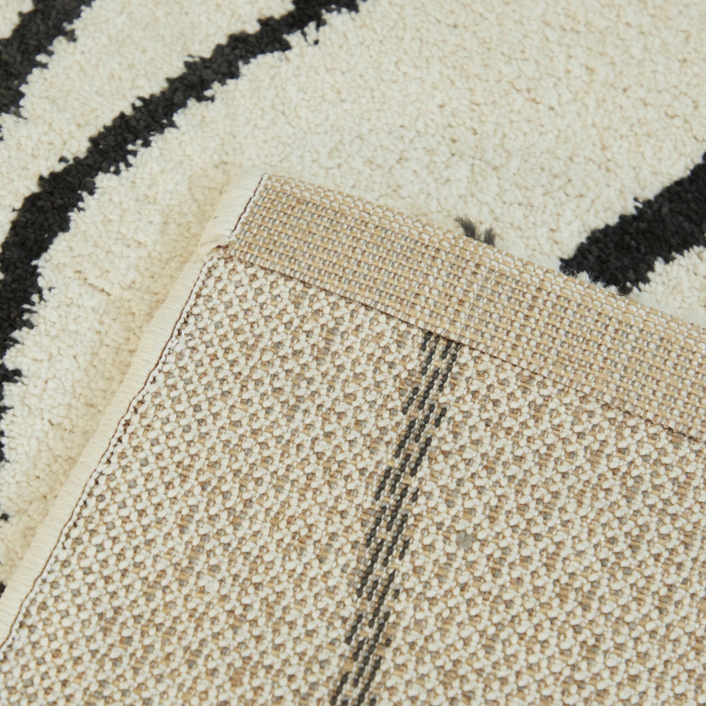 Descartes Abstract Area Rug
