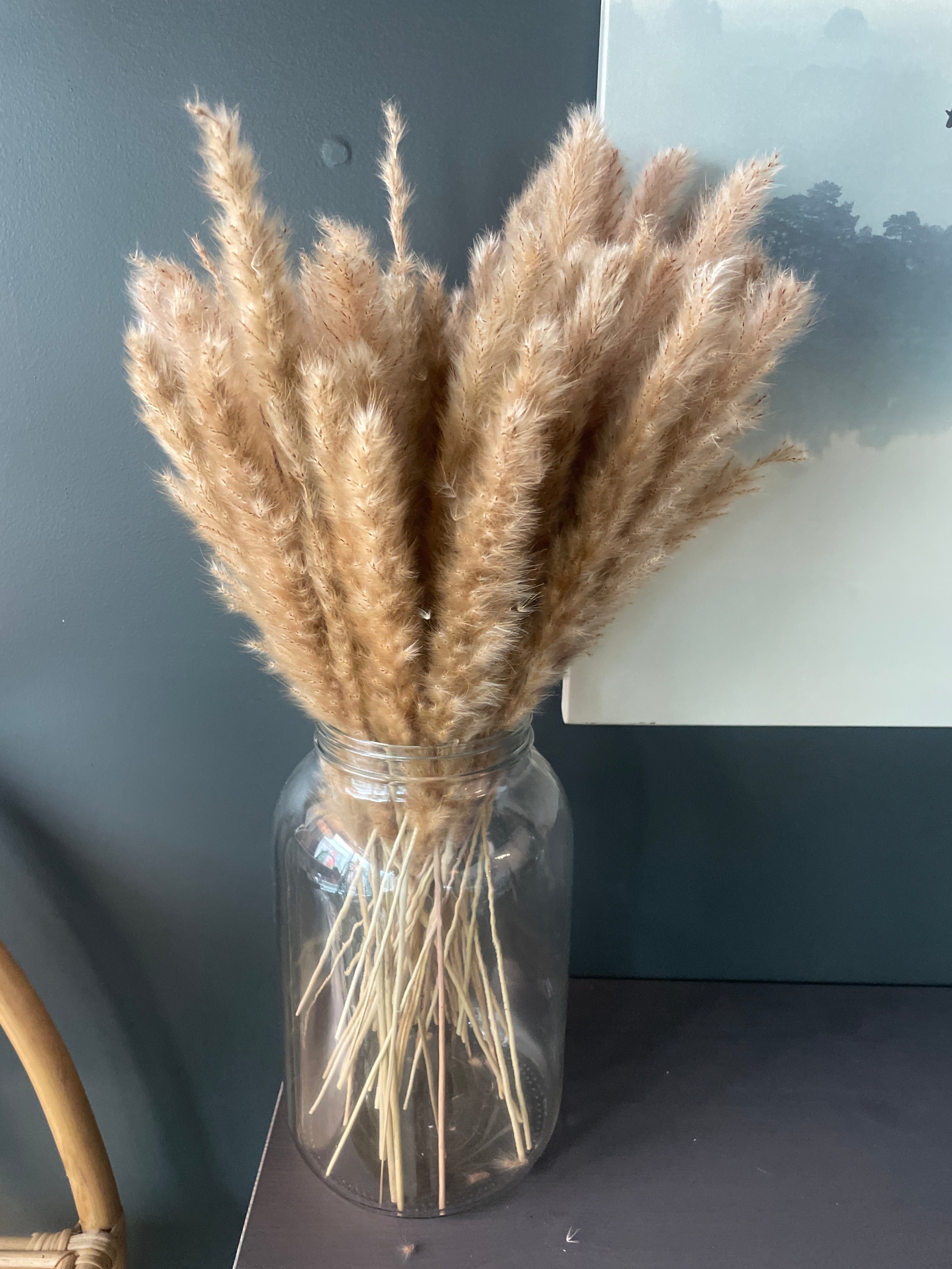 18” Pampas Grass Stem