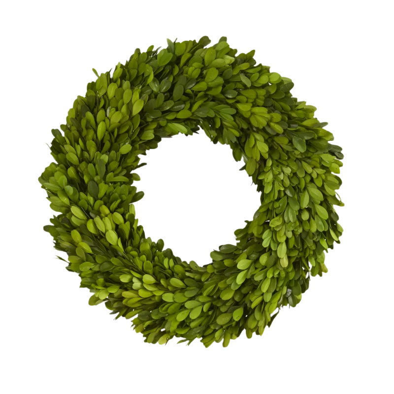 Boxwood Wreath (14")