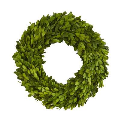 Boxwood Wreath (14")