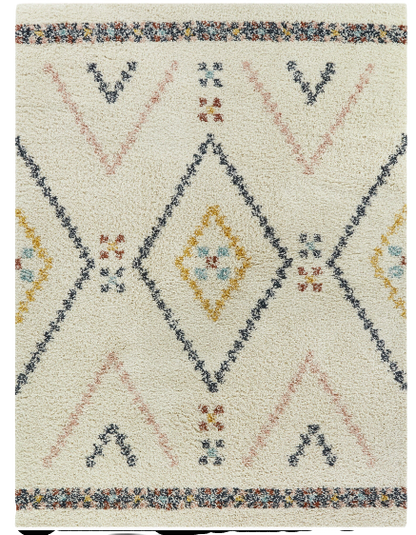 Shag Area Rug 5'x7'