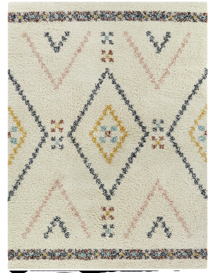 Shag Area Rug 5'x7'