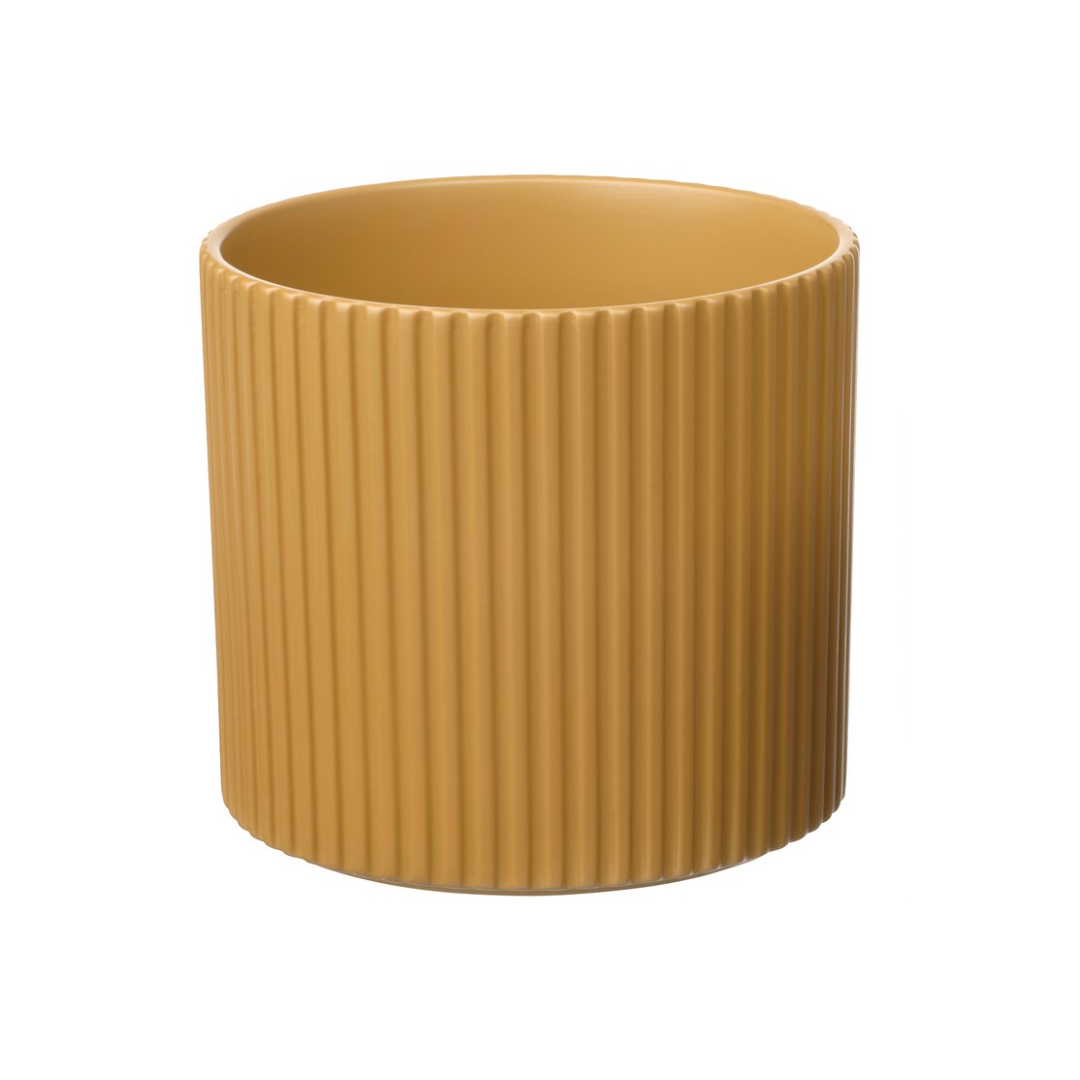 Plant Pot