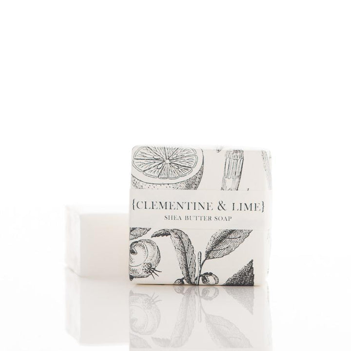 Formulary 55 Botanical Soaps