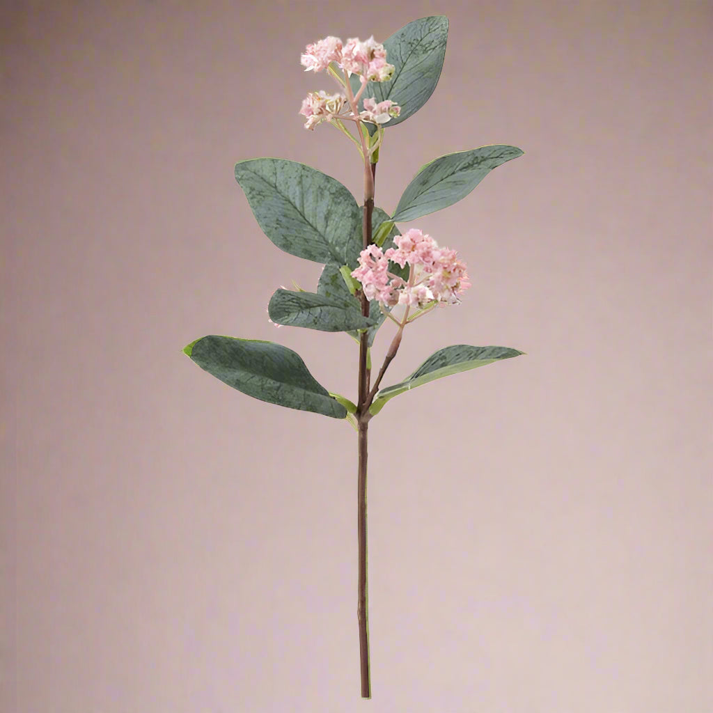 Eucalyptus Flower Stem