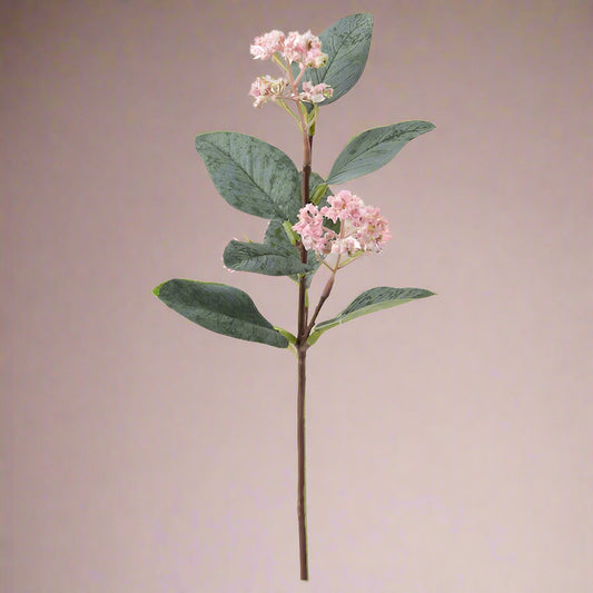 Eucalyptus Flower Stem