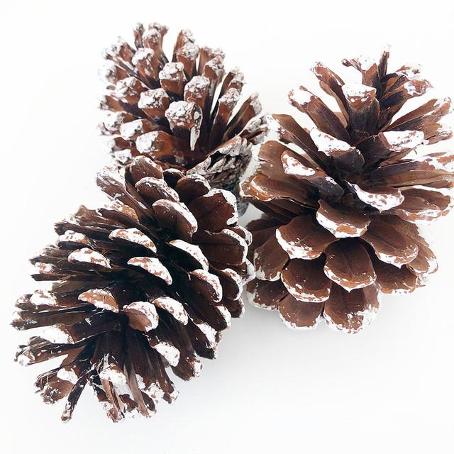 Frosted Pine Cone Giftset