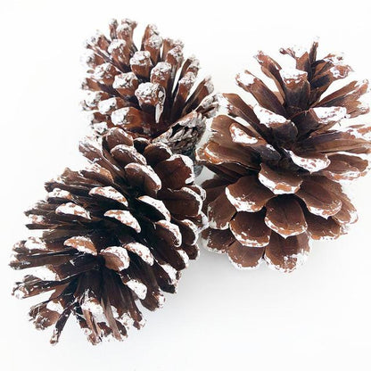 Frosted Pine Cone Giftset