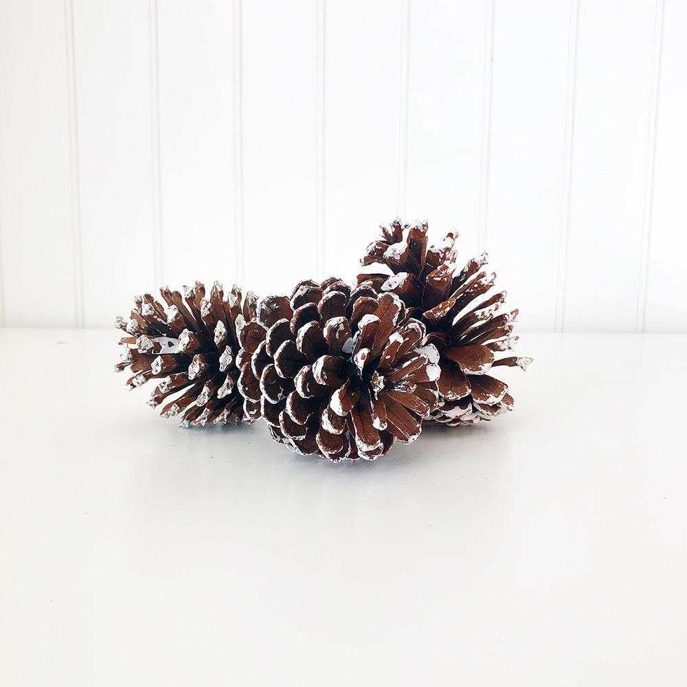 Frosted Pine Cone Giftset