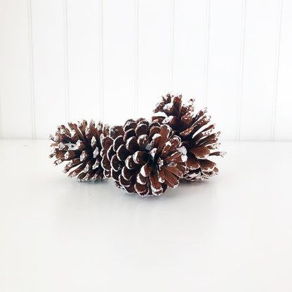 Frosted Pine Cone Giftset