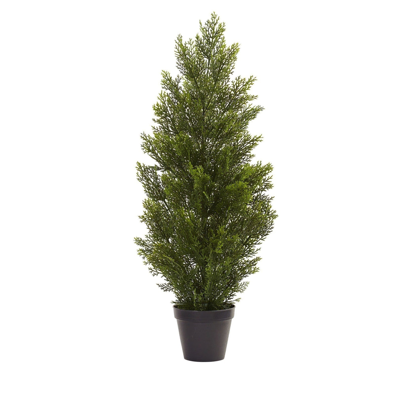 Mini Cedar Pine Tree