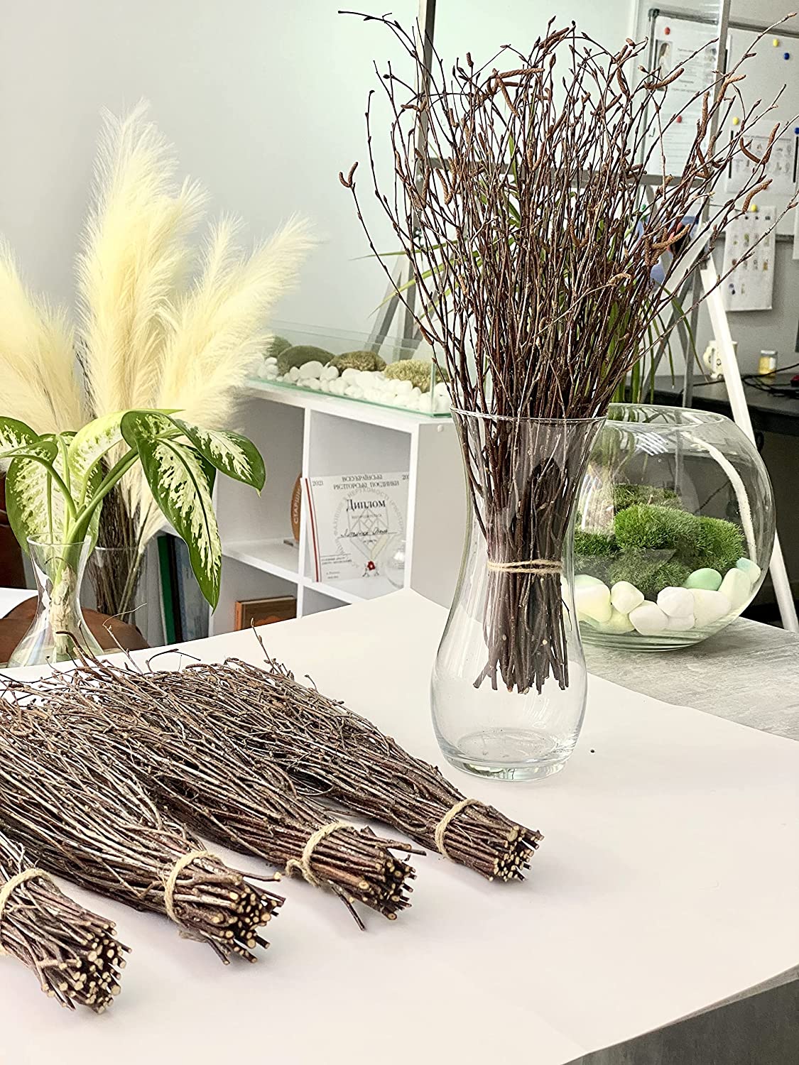 Birch Twigs - 100% Natural Birch Branches for Vases