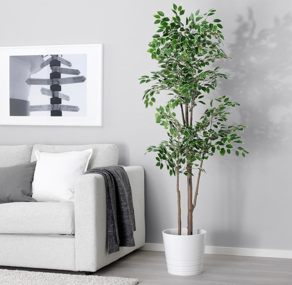 Faux Weeping Fig Tree